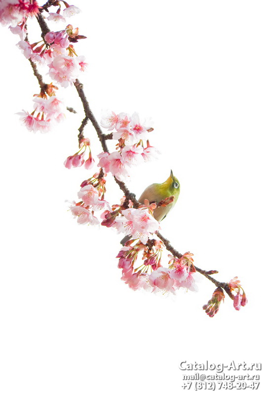 Blossom tree 48